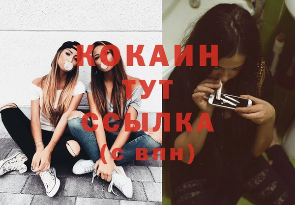 mix Богородск