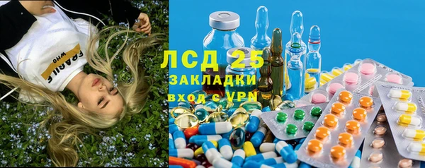индика Волоколамск